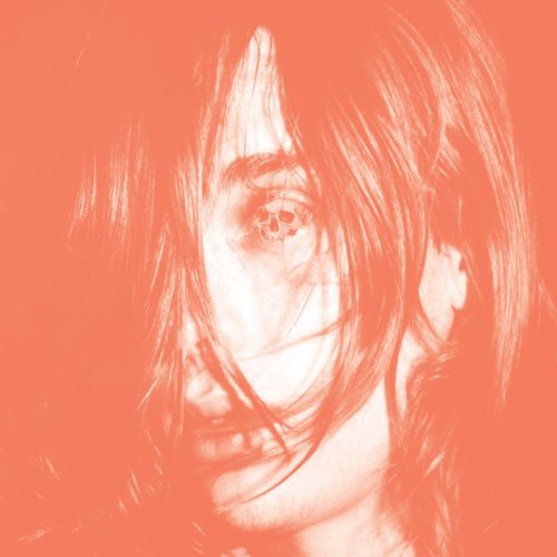 Deerhunter – Microcastle