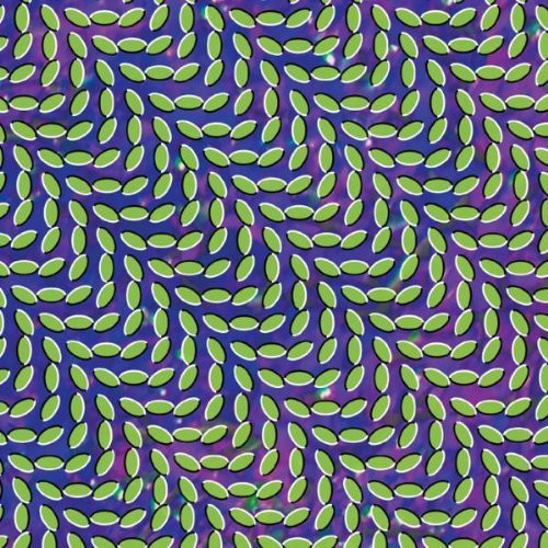 ANIMAL COLLECTIVE - MERRIWEATHER POST PAVILLION