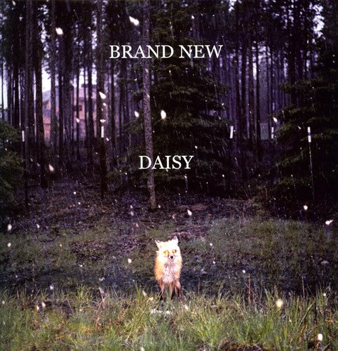 BRAND NEW - DAISY