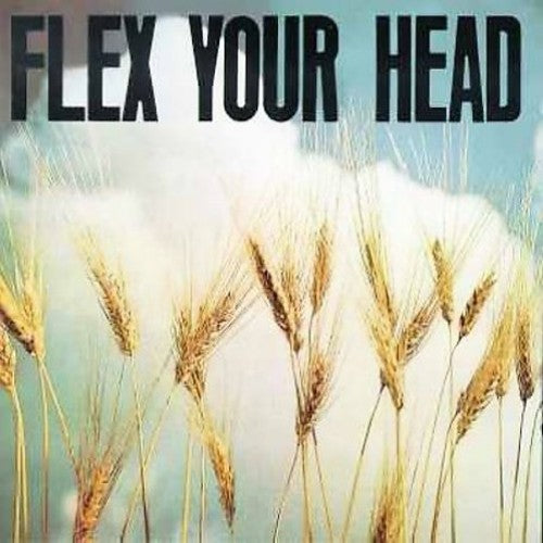 FLEX YOUR HEAD / VARIOUS - FLEX YOUR HEAD / VARIOUS
