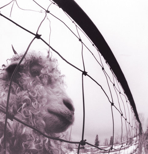PEARL JAM - VS