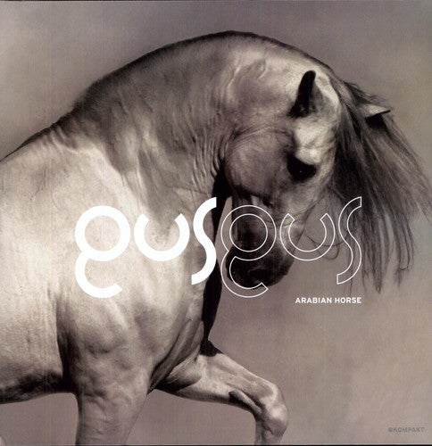 GUSGUS - ARABIAN HORSE
