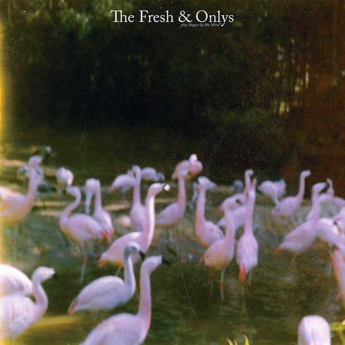 FRESH & ONLYS - AUGUST IN MY MIND