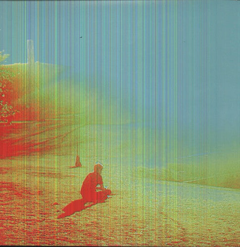 FLAMING LIPS - TERROR