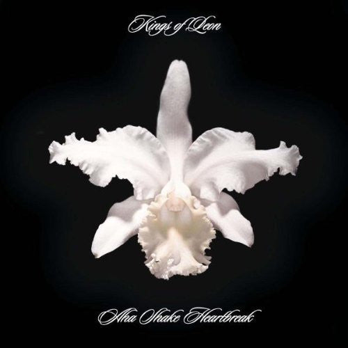 Kings of Leon – Aha Shake Heartbreak