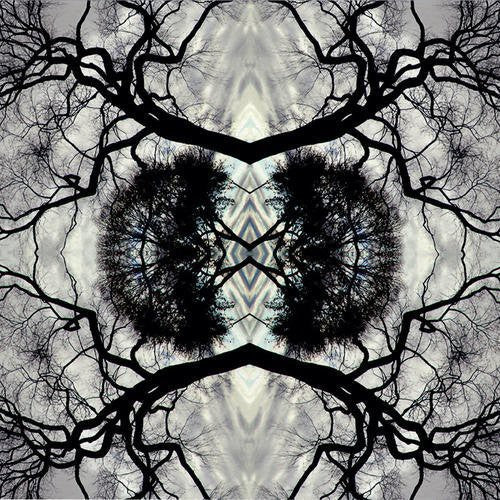 RUDOLPH,ADAM - SONIC MANDALA GO: ORGANIC ORCHESTRA