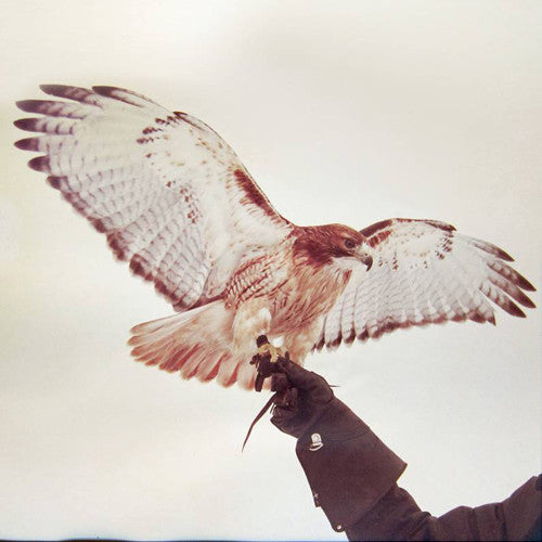AIRIS,JM - WILD BIRDS