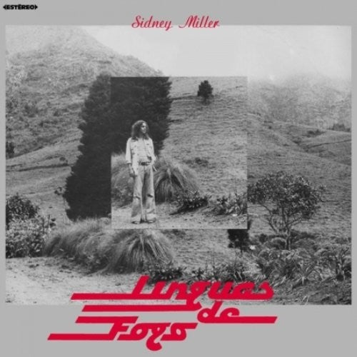 MILLER,SIDNEY - LINGUAS DE FOGO