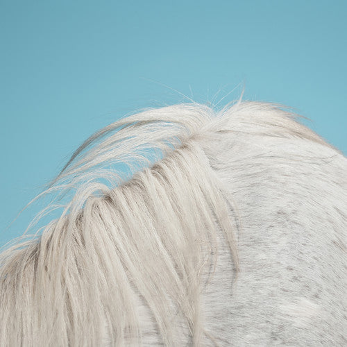 WIDOWSPEAK - ALL YOURS