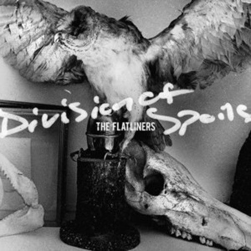 FLATLINERS - DIVISION OF SPOILS