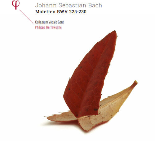 BACH,J.S. / COLLEGIUM VOCALE GENT / HERREWEGHE - JOHANN SEBASTIAN BACH: MOTETTEN BWV 225-230