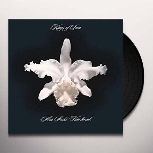 KINGS OF LEON - AHA SHAKE HEARTBREAK