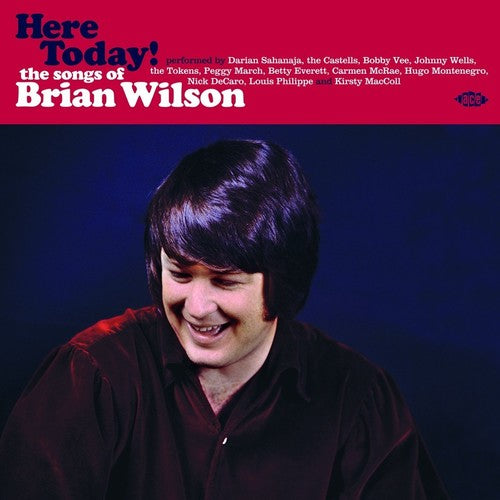 Various Artists – Here Today! Songs Of Brian Wilson / Various