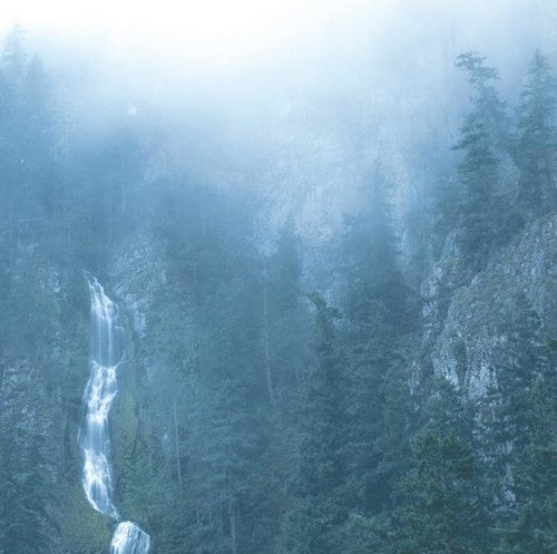 WOLVES IN THE THRONE ROOM - DIADEM OF 12 STARS