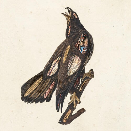 Clutch – Book Of Bad Decisions