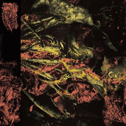 HISSING - PERMANENT DESTITUTION