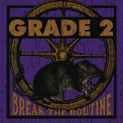 GRADE 2 - BREAK THE ROUTINE