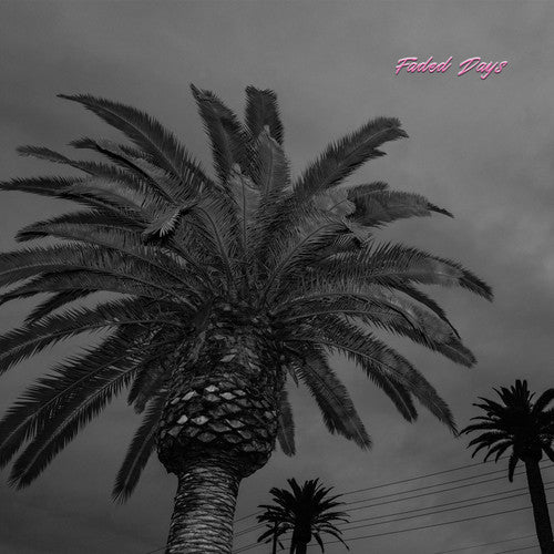 ACTUAL WOLF - FADED DAYS