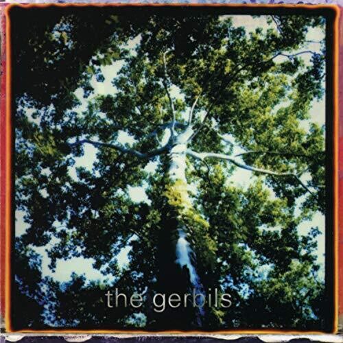 GERBILS - ARE YOU SLEEPY