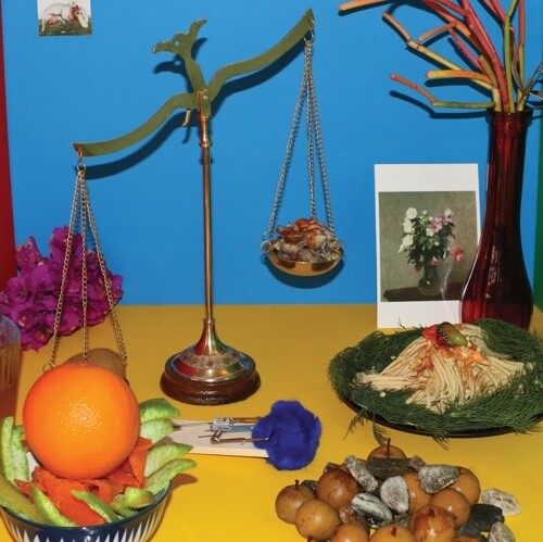 Wreck & Reference – Absolute Still Life