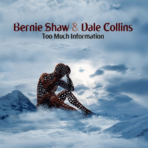 SHAW,BERNIE / COLLINS,DALE - TOO MUCH INFORMATION
