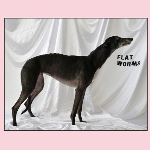 FLAT WORMS - FLAT WORMS