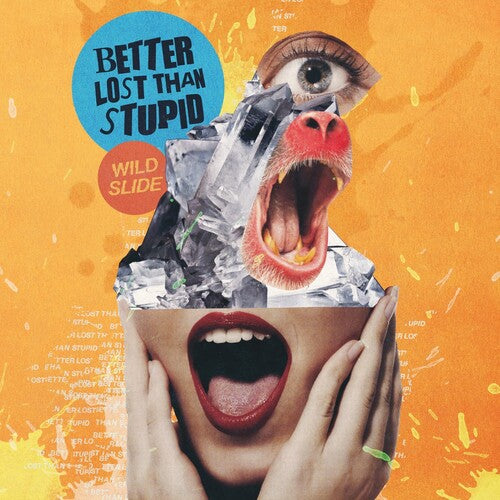 BETTER LOST THAN STUPID - WILD SLIDE