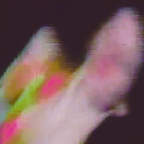 FUNCTION - EXISTENZ