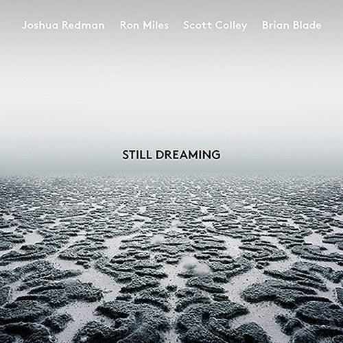 REDMAN,JOSHUA - STILL DREAMING