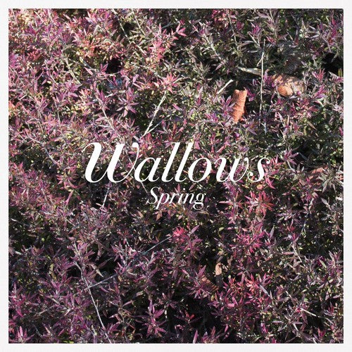 WALLOWS - SPRING