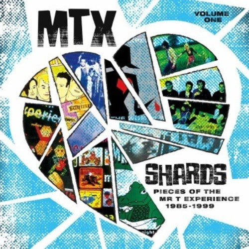 MR T EXPERIENCE - SHARDS VOL. 1