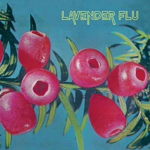 Lavender Flu – Mow The Glass