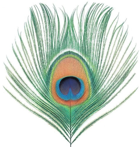 XTC - APPLE VENUS VOL 1