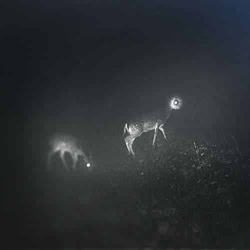 BLISS SIGNAL - BLISS SIGNAL