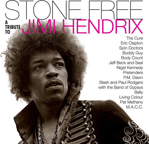HENDRIX,JIMMY TRIBUTE - STONE FREE: JIMI HENDRIX TRIBUTE