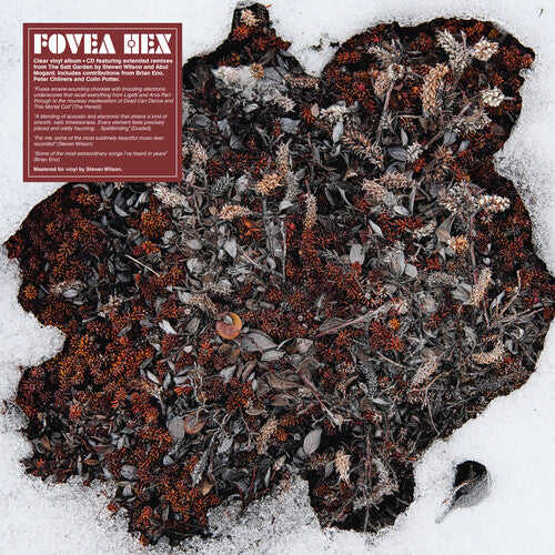 FOVEA HEX - SALT GARDEN - CLEAR