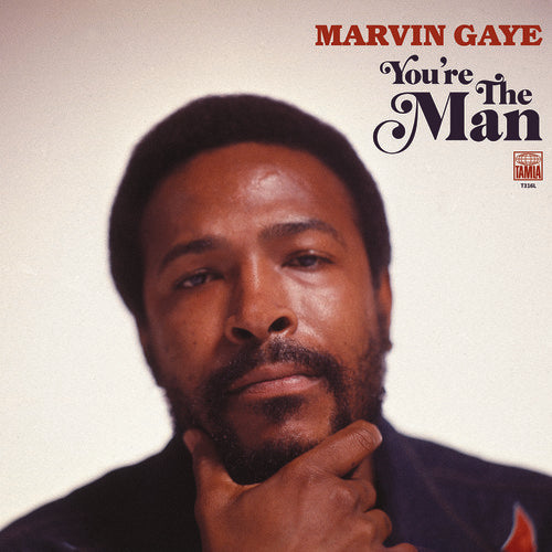GAYE,MARVIN - YOU'RE THE MAN