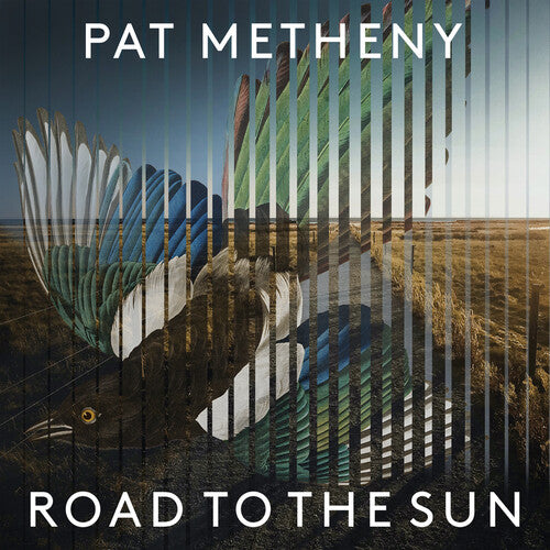 METHENY,PAT - ROAD TO THE SUN