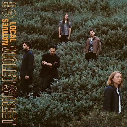 LOCAL NATIVES - VIOLET STREET