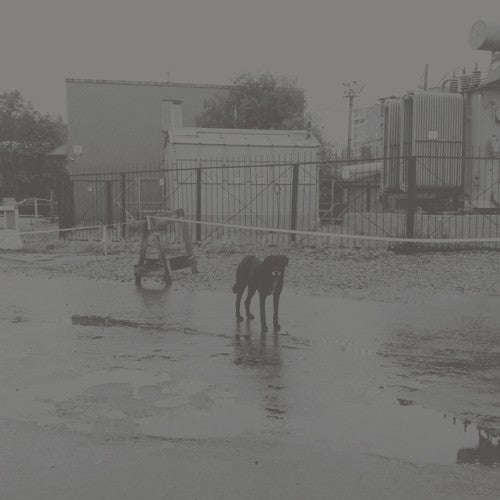 NIVHEK - AFTER ITS OWN DEATH / WALKING IN A SPIRAL TOWARDS