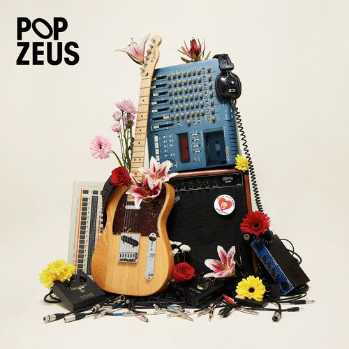 POP ZEUS - THIS DOESN'T FEEL LIKE HOME (UNRELEASED DEMOS 2011