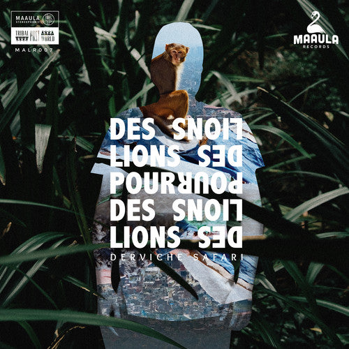 DES LIONS POUR DES LIONS - DERVICHE SAFARI
