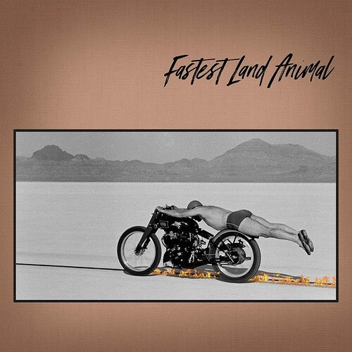 FASTEST LAND ANIMAL - FASTEST LAND ANIMAL