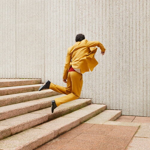 WILD HONEY - RUINAS FUTURAS