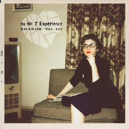 MR. T EXPERIENCE - SHARDS VOL. 3