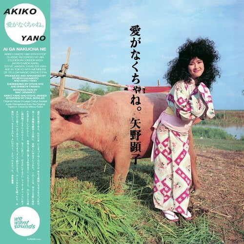 YANO,AKIKO - AI GA NAKUCHA NE