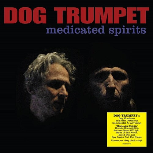 DOG TRUMPET - MEDICATED SPIRITS