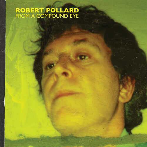 POLLARD,ROBERT - FROM A COMPOUND EYE