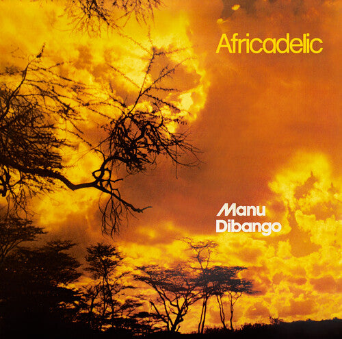DIBANGO,MANU - AFRICADELIC