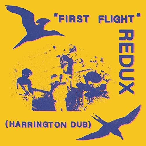 FORSYTH,CHRIS - FIRST FLIGHT REDUX (HARRINGTON DUB)